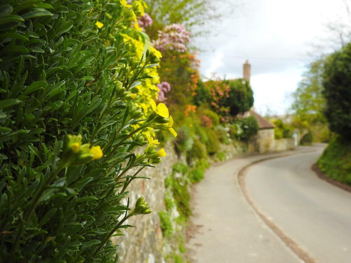 Church Combe - Petworth West Sussex Hotel Exterior foto